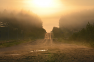 Работа 2771397