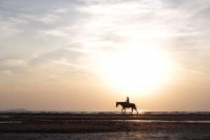 Работа 2771380