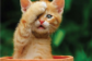 Работа 1436738