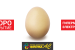 Работа 1461961