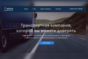 Landing Page Бизон