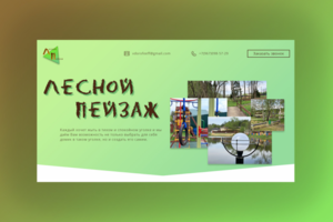 Лесной пейзаж