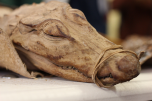 Работа 3883423