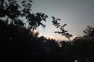 Работа 3926227