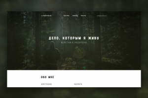 Мое портфолио