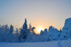 Работа 2201056