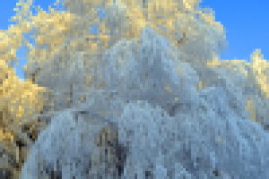 Работа 2201053