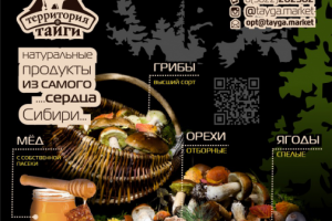 Территория Тайги Баннер Томск 2020