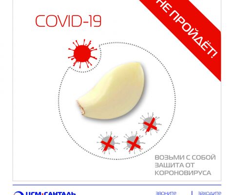 img3925698.png