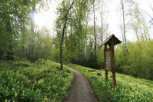 г. Томск парк ТГУ