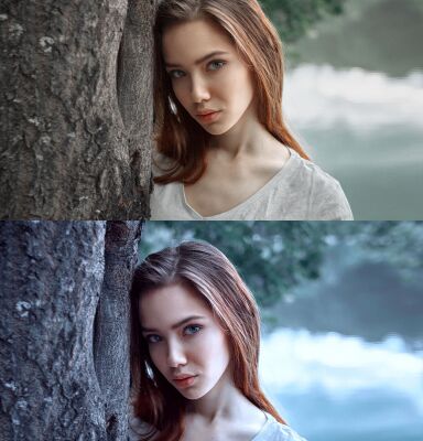 img3813933.png