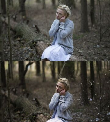 img3813932.png