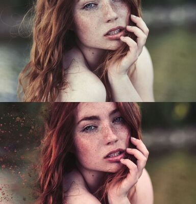 img3813930.png