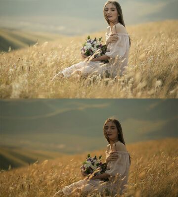 img3813927.png