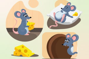 Векторная иллюстрация