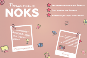 Презентация для поиска спонсоров по разработке моб.приложения