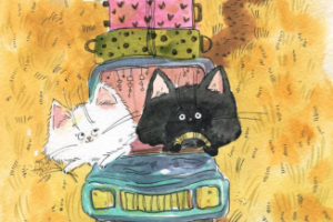 истории с хвостиками