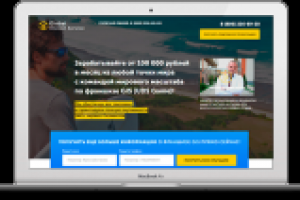 Дизайн Landing Page для франшизы