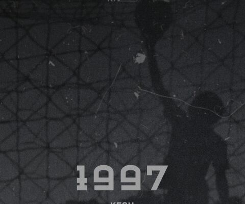 img3924984.png