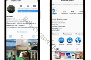 Работа 3725870