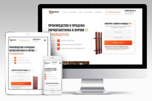 Евроштакетник Киров на CMS Wordpress