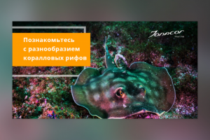 Дизайн баннера для рекламы в Facebook