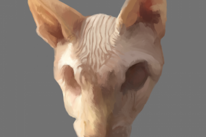 иллюстрация кота