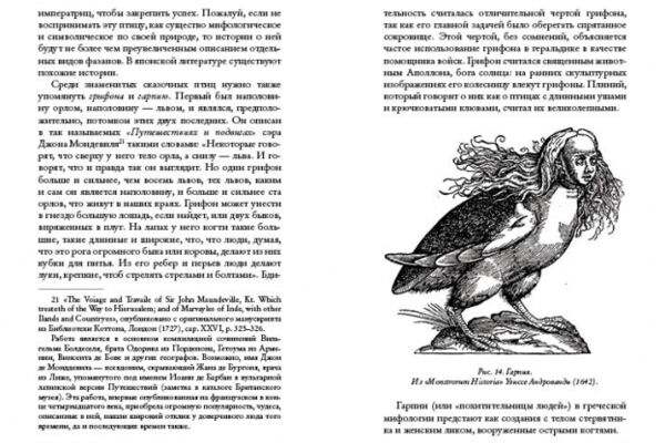 img3920881.png