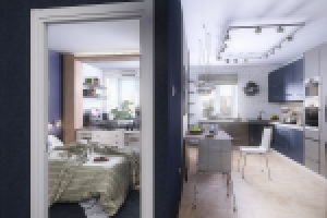 Квартира-студия в Спб(2014) - Общий вид