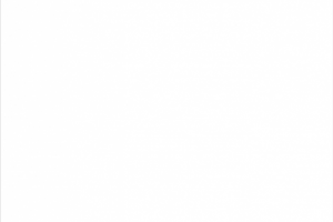 Работа 3881606