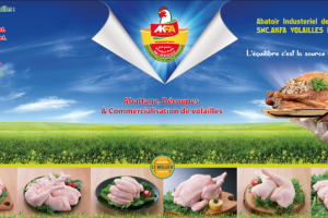 Работа 3863082