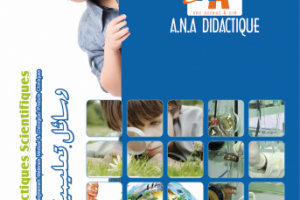 Работа 3863081