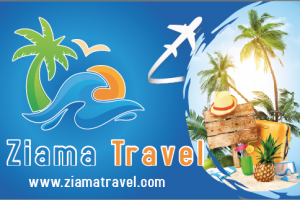 Работа 3859902