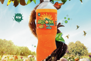 Работа 3859889