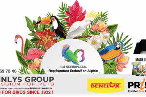 Работа 3859757