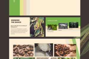 Экономика Мадагаскара