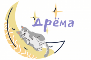дрёма