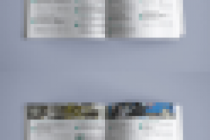 Каталог масел Motorex