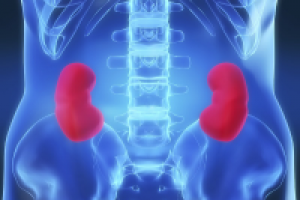 Почки. Лечение.