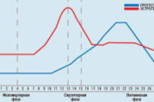 Прогестерон