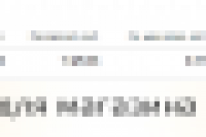 настройка Директ для магазина верхней одежды