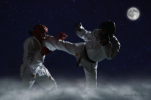 Работа 2298320