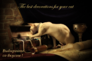 Работа 1926378