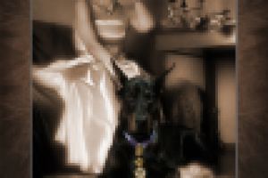 Работа 2075549