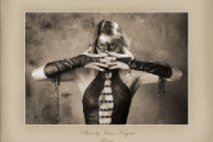 Работа 2660467