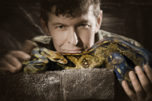 Работа 1924534