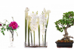 Работа 2090464