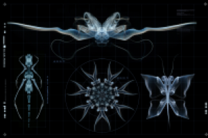 Работа 1924204