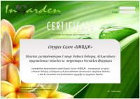 Работа 747043