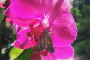 Работа 2813835